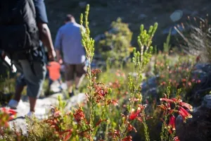 Hiking Trail - Guided: 20 September 2022