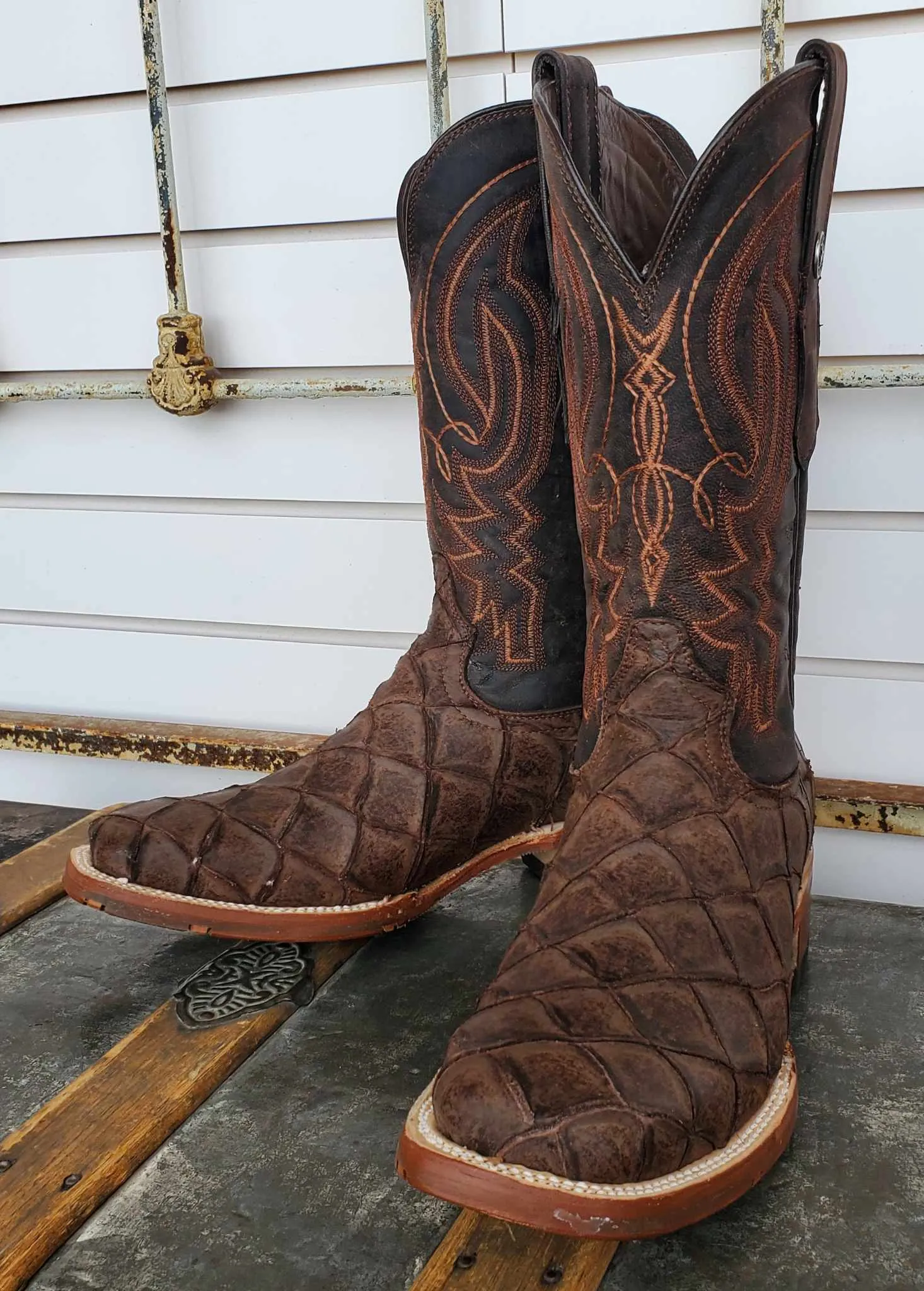 Men's Tanner Mark Monster Fish Print Boot